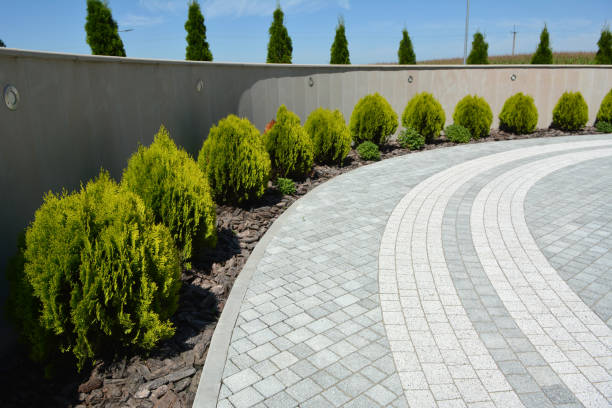 Best Driveway Paving Company  in La Harpe, IL